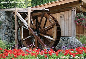 The beautiful Butchart Gardens in Victoria, BC