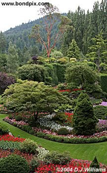 The beautiful Butchart Gardens in Victoria, BC