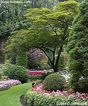 The beautiful Butchart Gardens in Victoria, BC