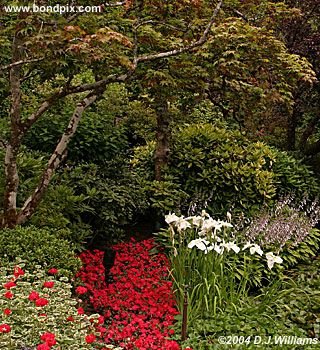 The beautiful Butchart Gardens in Victoria, BC