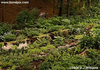 The beautiful Butchart Gardens in Victoria, BC