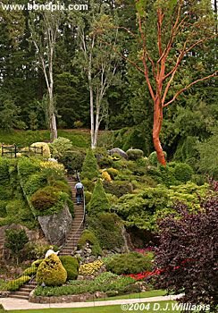 The beautiful Butchart Gardens in Victoria, BC