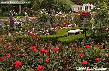 The beautiful Butchart Gardens in Victoria, BC