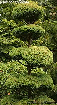 The beautiful Butchart Gardens in Victoria, BC