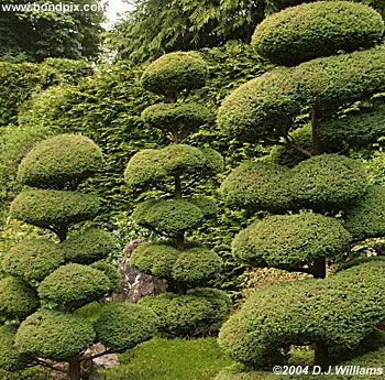 The beautiful Butchart Gardens in Victoria, BC