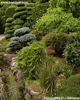 The beautiful Butchart Gardens in Victoria, BC