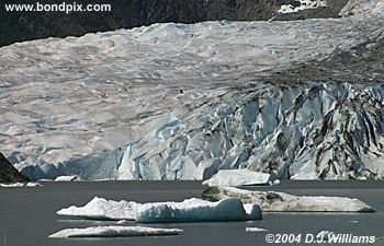 Mendenhall Glacier, near Juneau Alaska