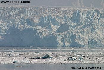 Hubbard Glacier in Yakutat bay, Alaska