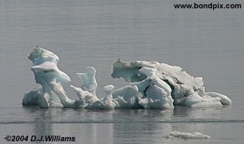 Ice flows and icebergs from the glaciers in Yakutat bay, Alaska