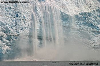 Calving ice falls from the Hubbard Glacier in Yakutat bay, Alaska