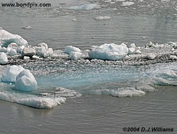 Ice flows and icebergs from the glaciers in Yakutat bay, Alaska