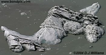 Ice flows and icebergs from the glaciers in Yakutat bay, Alaska