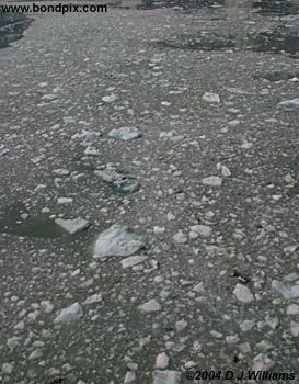 Glacier in Yakutat bay, Alaska