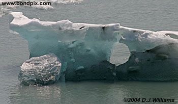 Ice flows and icebergs from the glaciers in Yakutat bay, Alaska