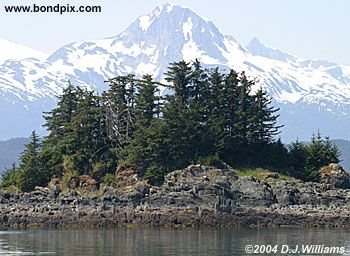 Landscape in Alaska