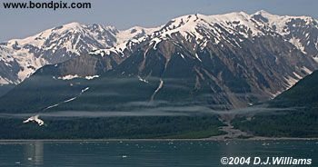 Tongass National rainforest in Alaska