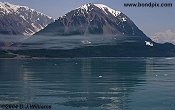 Tongass National rainforest in Alaska