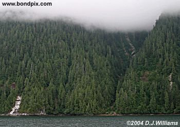 Landscape in the Misty Fjords in Alaska