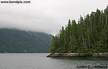 Landscape in the Misty Fjords in Alaska