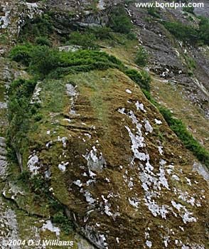 Landscape in Alaska