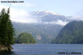 Landscape in the Misty Fjords in Alaska