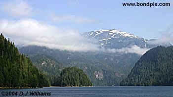 Landscape in the Misty Fjords in Alaska