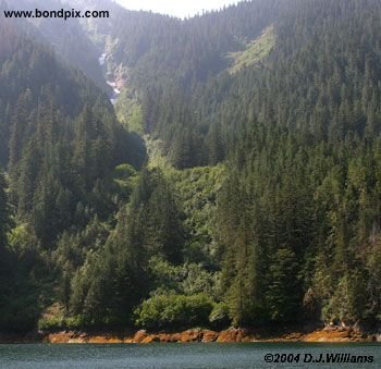 Landscape in the Misty Fjords in Alaska