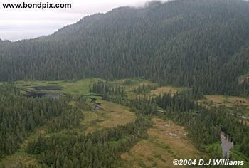 Aerial view of the landscape near Ketchikan Alaska