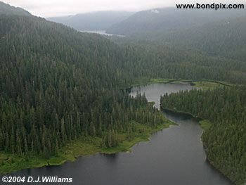 Aerial view of the landscape near Ketchikan Alaska