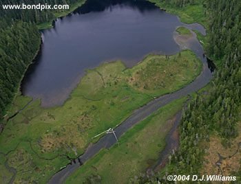 Aerial view of the landscape near Ketchikan Alaska