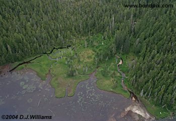 Aerial view of the landscape near Ketchikan Alaska