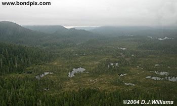 Aerial view of the landscape near Ketchikan Alaska