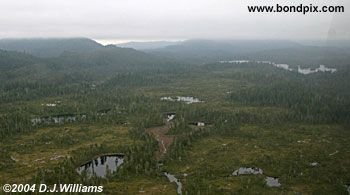 Aerial view of the landscape near Ketchikan Alaska