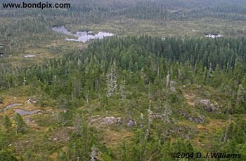 Aerial view of the landscape near Ketchikan Alaska