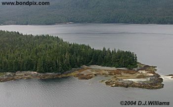 Aerial view of the landscape near Ketchikan Alaska