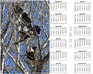 Calender from Montana - Bald Eagles in Montana