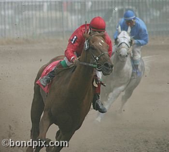 Horse Racing at the Western Montana Fair in Missoula, Montana