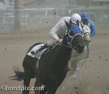 Horse Racing at the Western Montana Fair in Missoula, Montana