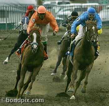 Horse Racing at the Western Montana Fair in Missoula, Montana