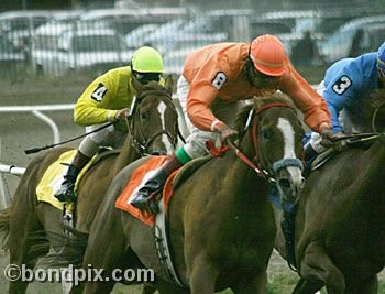 Horse Racing at the Western Montana Fair in Missoula, Montana