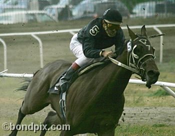 Horse Racing at the Western Montana Fair in Missoula, Montana