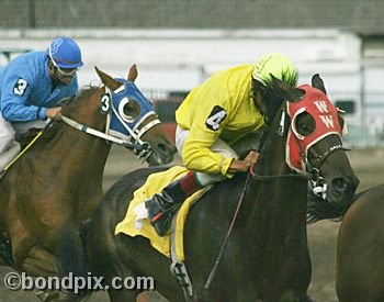 Horse Racing at the Western Montana Fair in Missoula, Montana