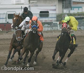 Horse Racing at the Western Montana Fair in Missoula, Montana