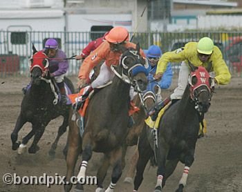 Horse Racing at the Western Montana Fair in Missoula, Montana