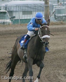 Horse Racing at the Western Montana Fair in Missoula, Montana