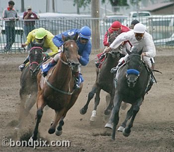 Horse Racing at the Western Montana Fair in Missoula, Montana