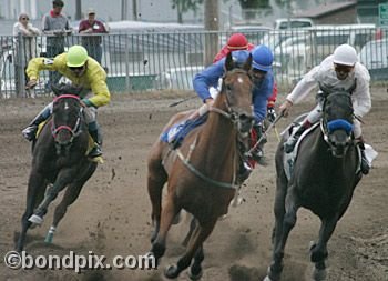 Horse Racing at the Western Montana Fair in Missoula, Montana