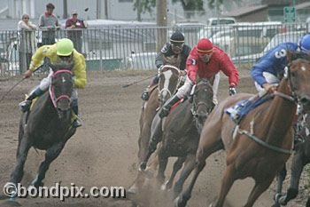 Horse Racing at the Western Montana Fair in Missoula, Montana