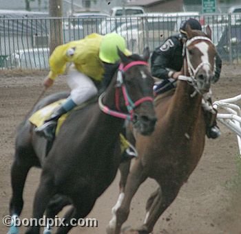 Horse Racing at the Western Montana Fair in Missoula, Montana