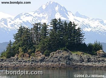 Landscape in Alaska